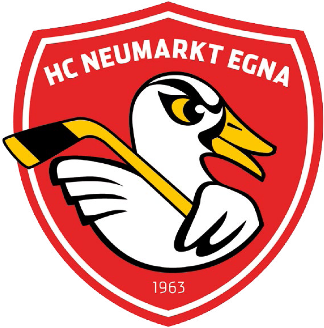 HC Neumarkt-Egna 2016-Pres Primary Logo iron on transfers for T-shirts